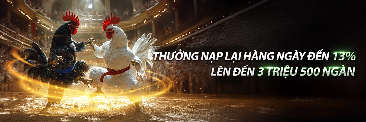 Đá Gà Trực Tuyến nohi90 link mới